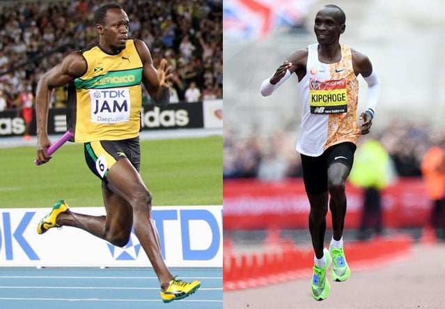 Силовая подготовка в беге: почему одни становятся быстрее, а другие — тяжелее